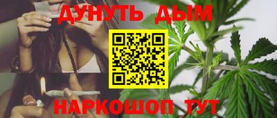 mdpv Новодвинск