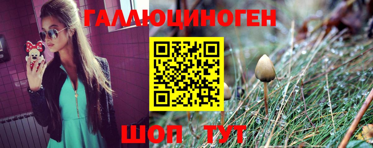 Сергиев Посад  Псилоцибиновые грибы Psilocybe  Вход с VPN 